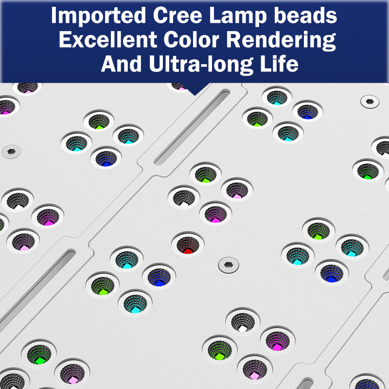 Marine Aquarium & Regional Centre - Hot KASSRAY T169/T215 CREE LED Full