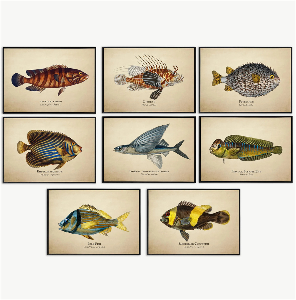 Marine Life Aquariums - Vintage foto's tropische vissen kwallen schelpen