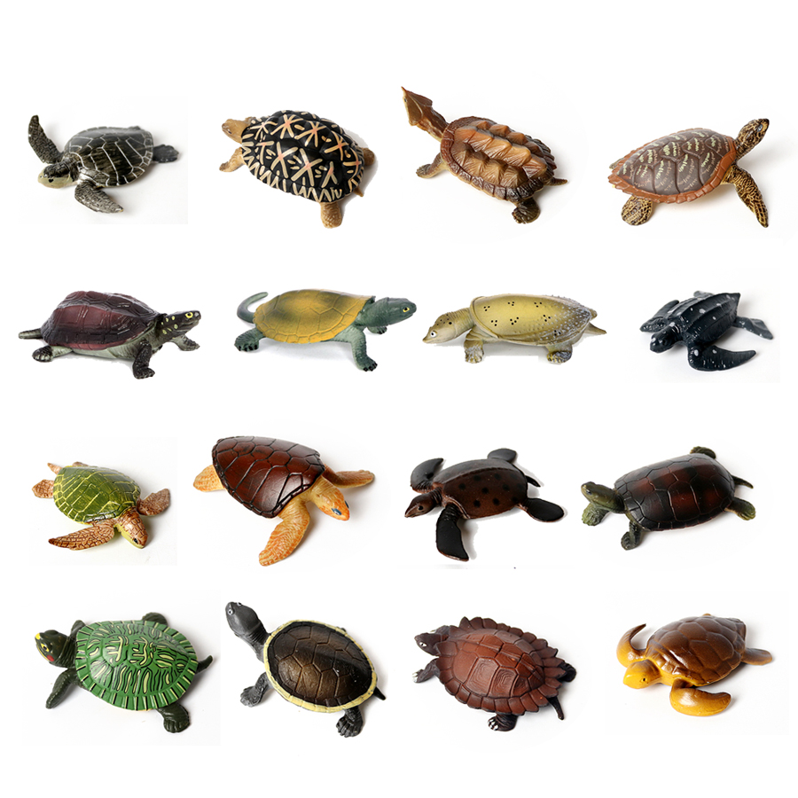 Marine Aquarium & Regional Centre - Realistische Miniaturen Zeeleven Zeeschildpad Model Oceaandier