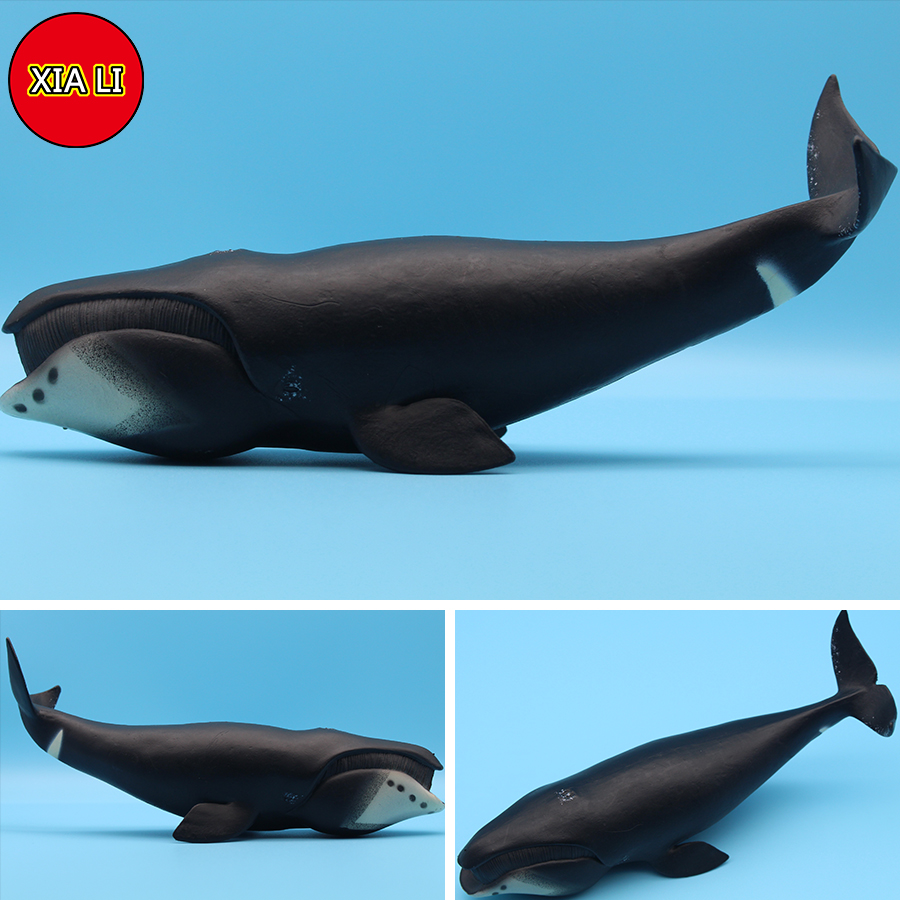 Ocean Sea Life Simulatie Orka  - Marine Life Aquariums recensie en prijs