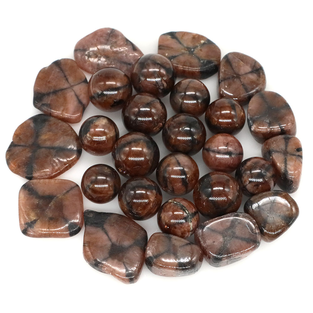 Natuurlijke kruischiastoliet k - Aquarium Marine Stone recensie en prijs