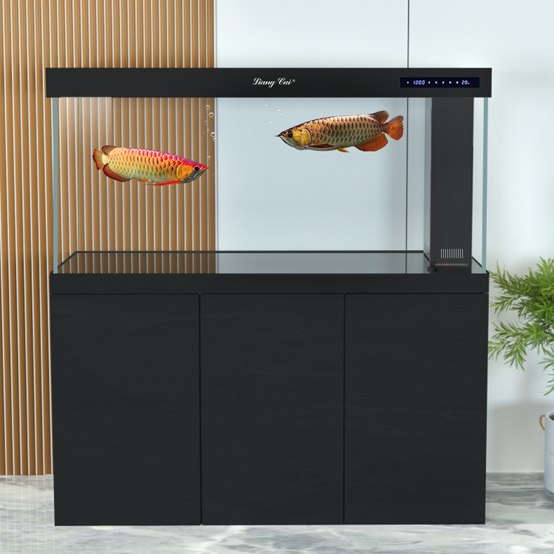 Ultra heldere moderne glazen a - Marine Life Aquariums recensie en prijs