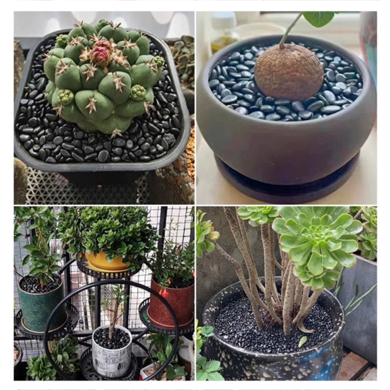 Wit & Zwart Gepolijste Riviers - Aquarium Marine Stone recensie en prijs