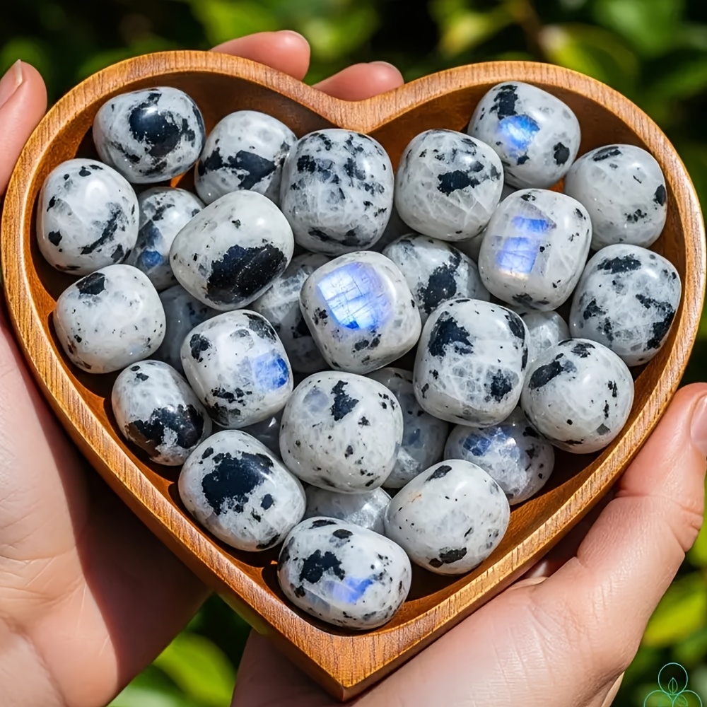 1 zakje 100g natuurlijke, opva - Aquarium Marine Stone recensie en prijs