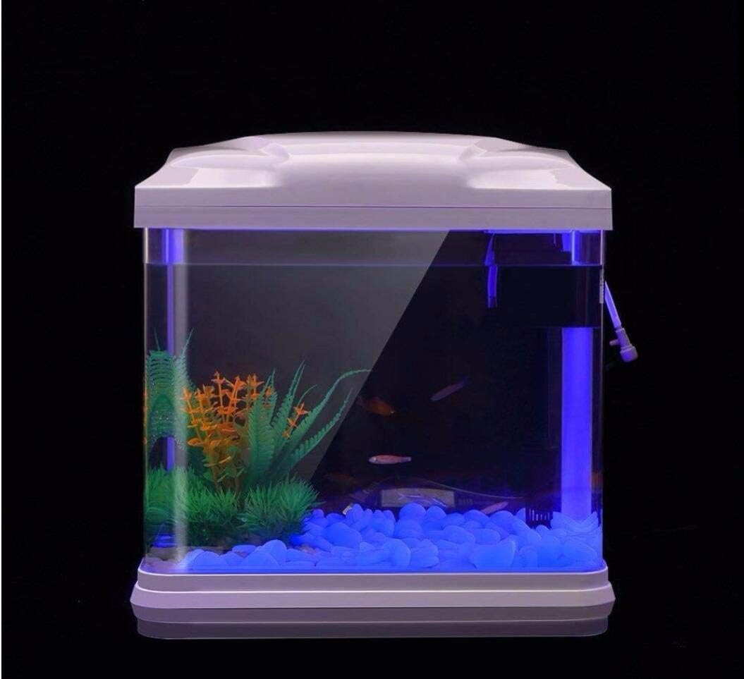 Aquarium Rotsen Glow Blue Kiez - Aquarium Marine Stone recensie en prijs