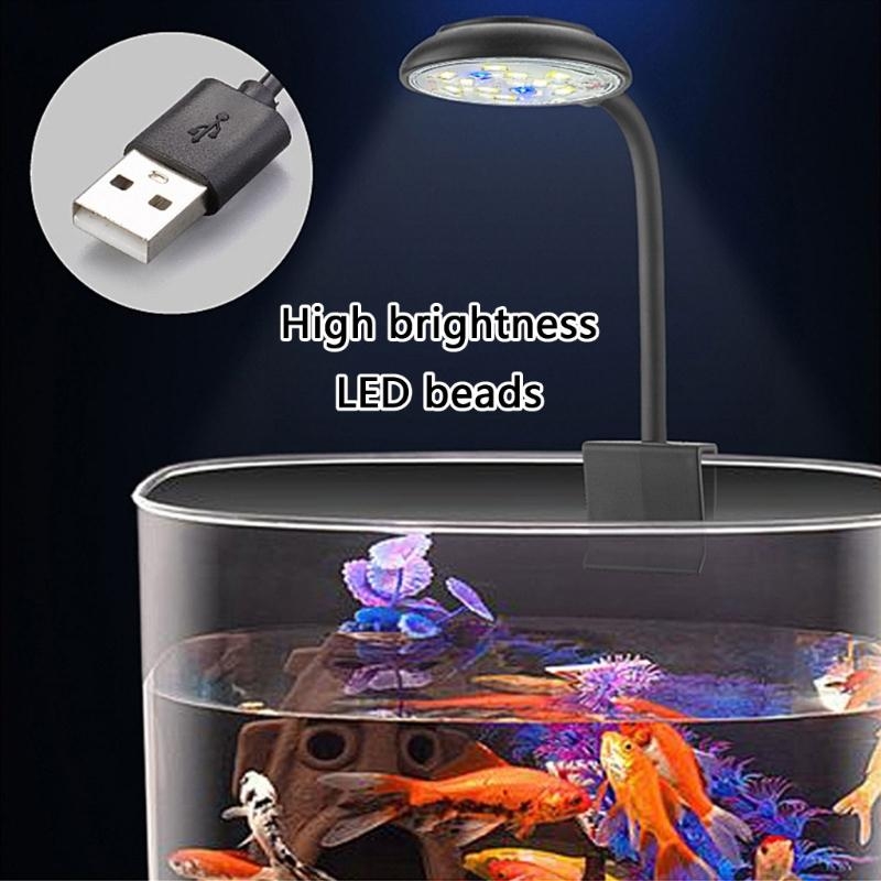 Het aanpassen helderheid LED A - Marine Life Aquariums recensie en prijs