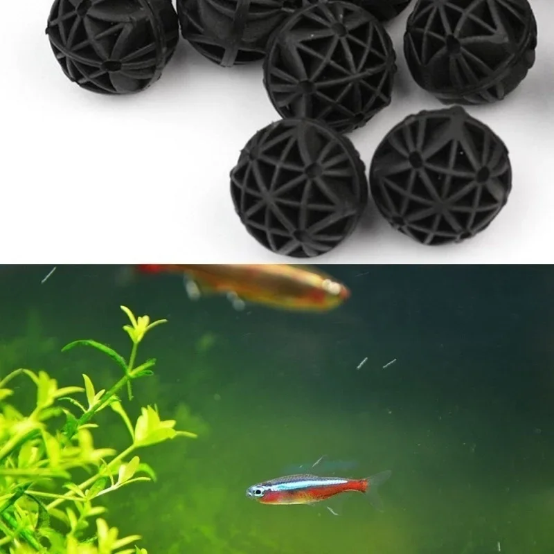 20 Stuks 16mm Aquarium Filter  - Marine Aquarium & Regional Centre recensie en prijs