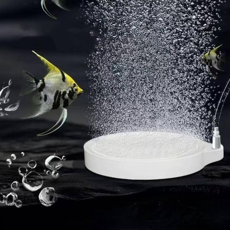 Nano Disc Air Stone Zuurstofbe - Marine Aquarium Nano recensie en prijs