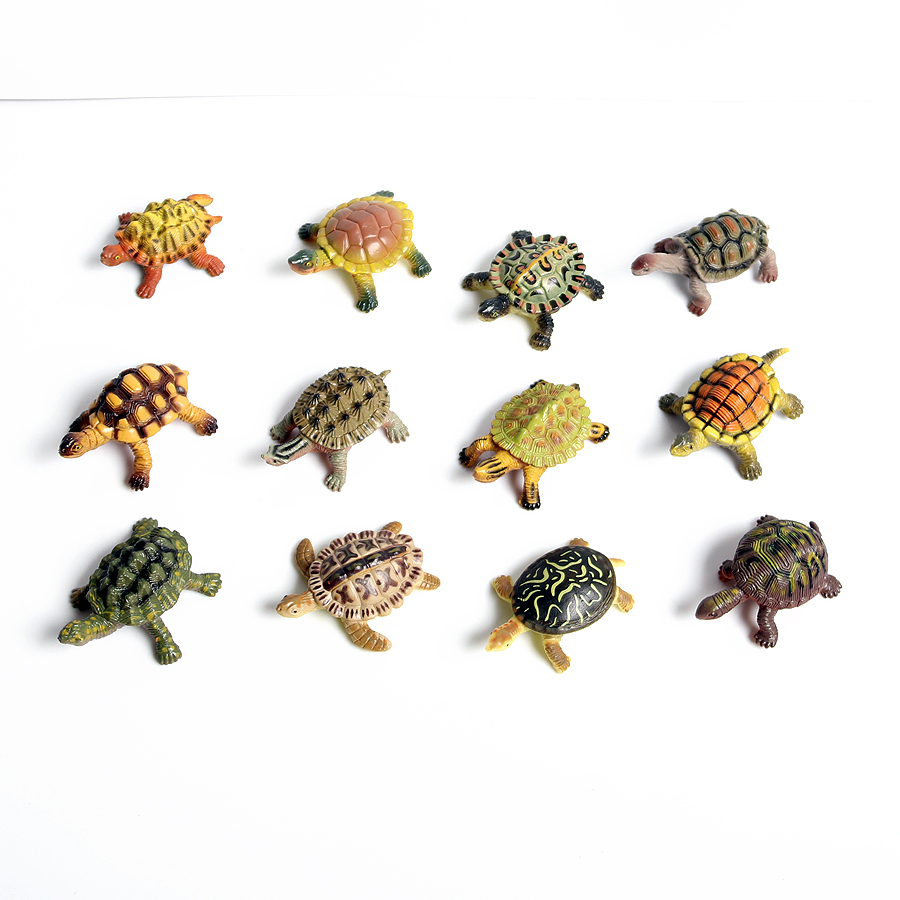 Realistische Miniaturen Zeelev - Marine Aquarium & Regional Centre recensie en prijs