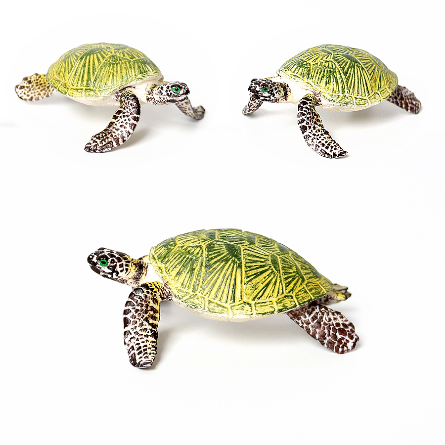Realistische Miniaturen Zeelev - Marine Aquarium & Regional Centre recensie en prijs